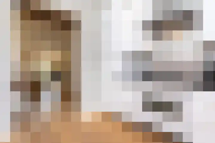 Jeudje 8 Hoorn thumbnail 27