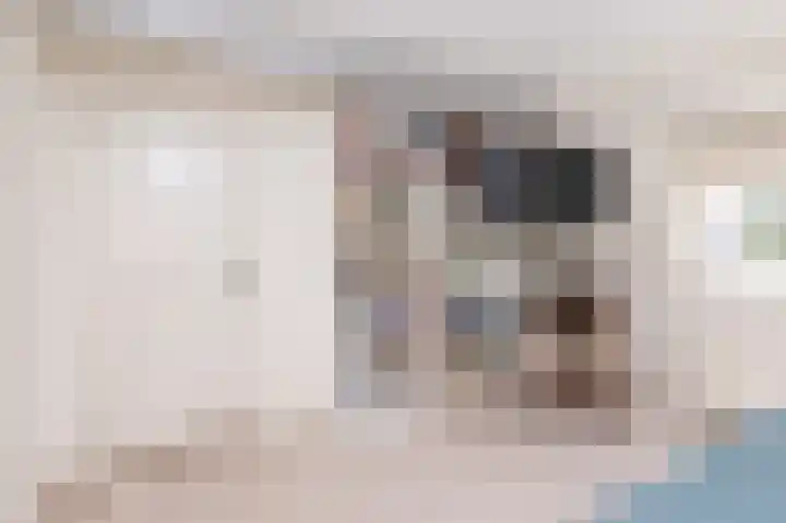 Jeudje 8 Hoorn thumbnail 38