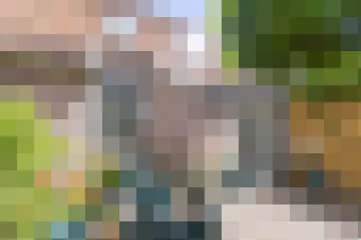 Jeudje 8 Hoorn thumbnail 55