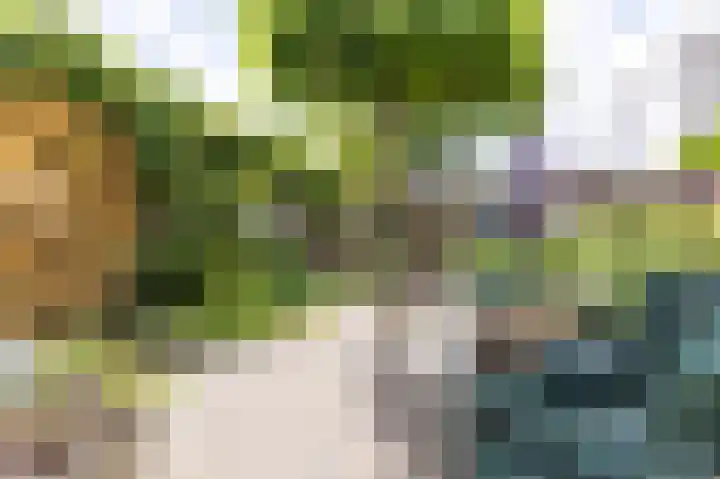 Jeudje 8 Hoorn thumbnail 56