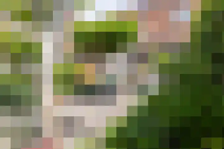 Jeudje 8 Hoorn thumbnail 58