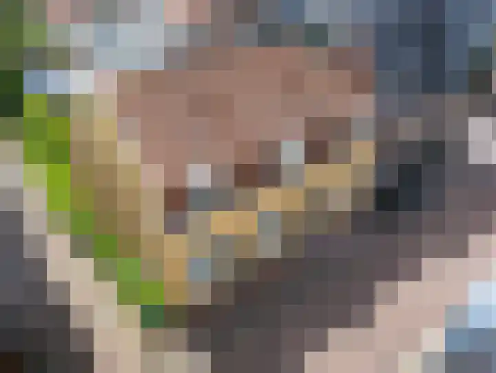 Jeudje 8 Hoorn thumbnail 6