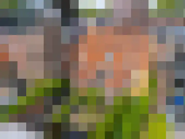 Jeudje 8 Hoorn thumbnail 60