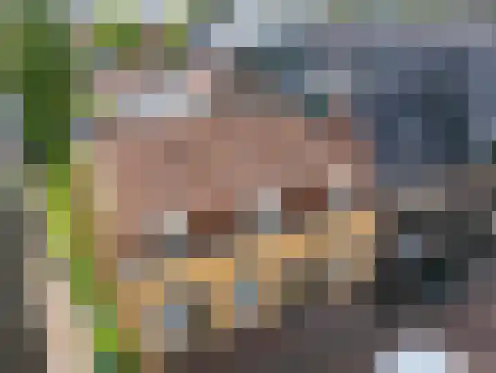 Jeudje 8 Hoorn thumbnail 70