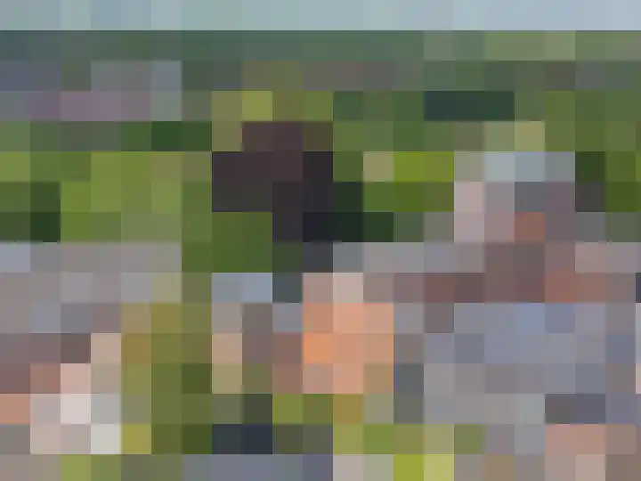 Jeudje 8 Hoorn thumbnail 73