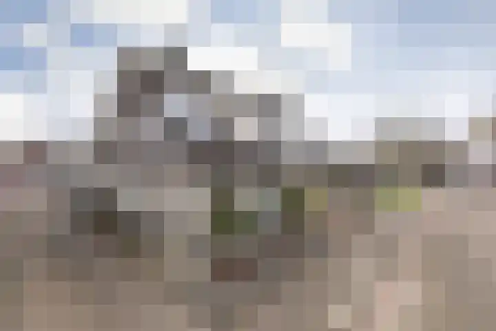 Screenshot van de website van www.jillisbaggerman.nl