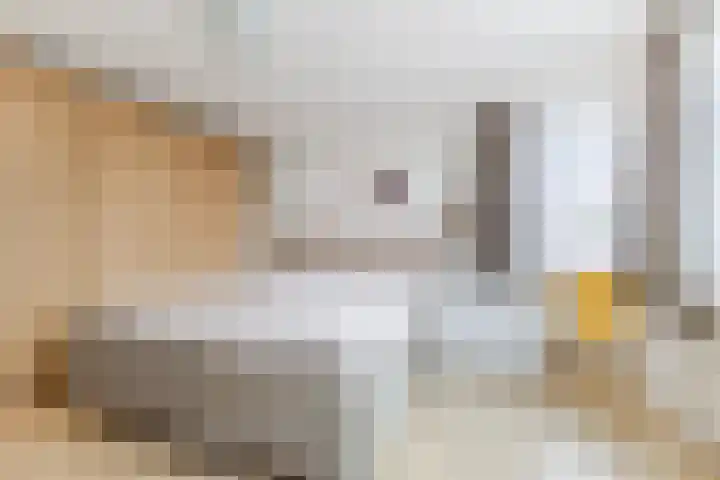 Foto van Jinke Koopmans