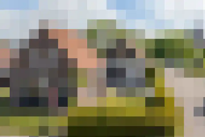 Jislumerdyk 8 Burdaard