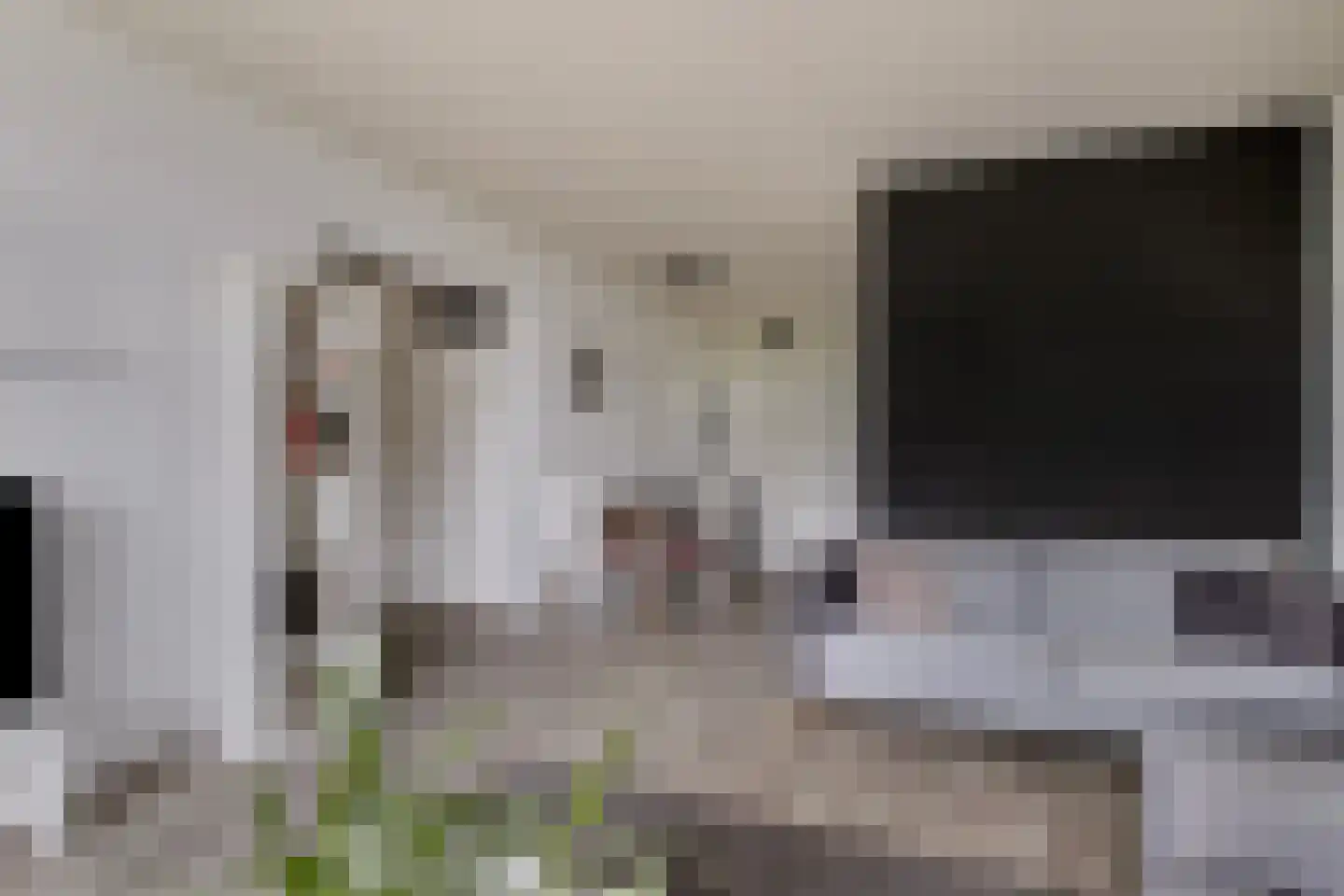 Jisperveldstraat 252 Amsterdam thumbnail 16