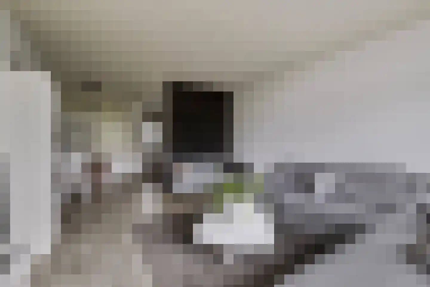 Jisperveldstraat 252 Amsterdam thumbnail 17
