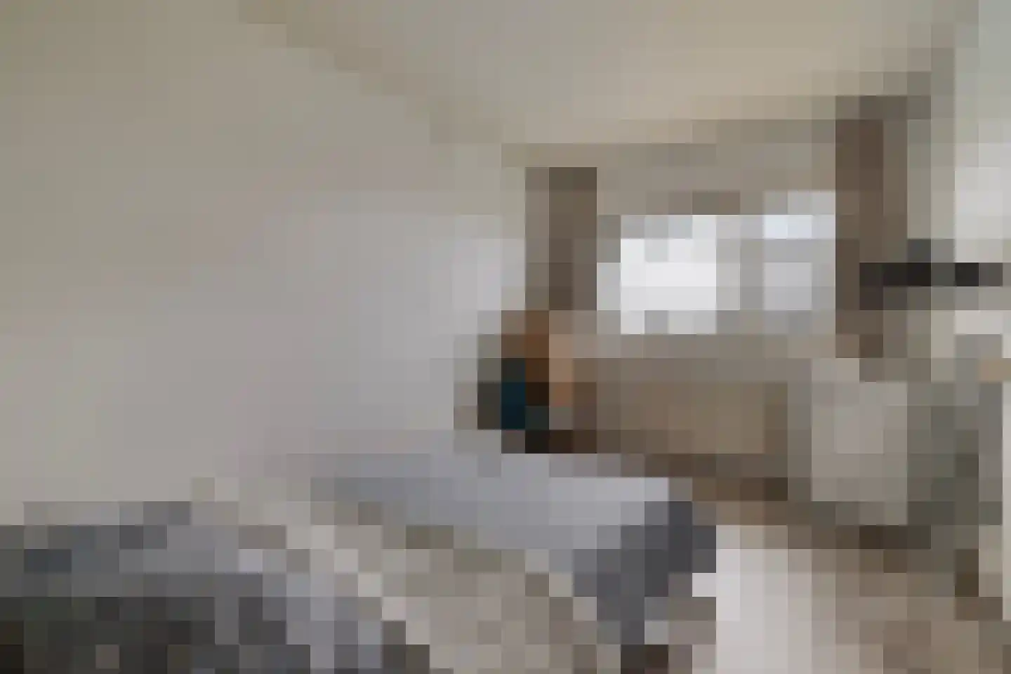 Jisperveldstraat 252 Amsterdam thumbnail 27