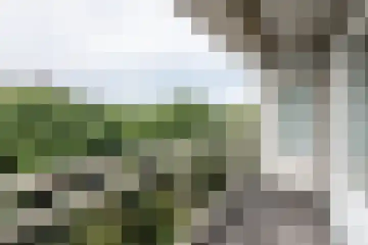 Jisperveldstraat 253 Amsterdam thumbnail 9