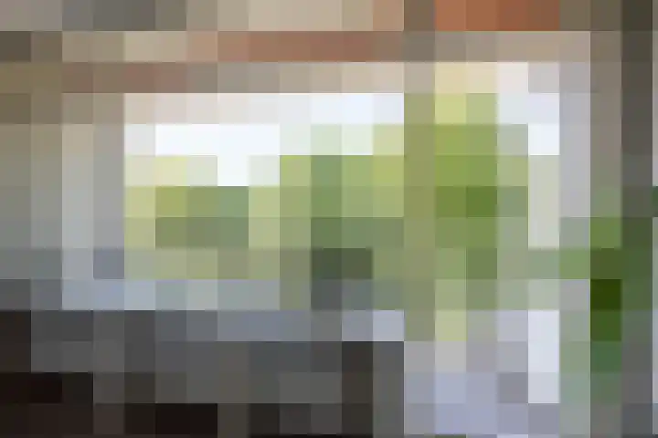 Jisperveldstraat 426 Amsterdam thumbnail 10