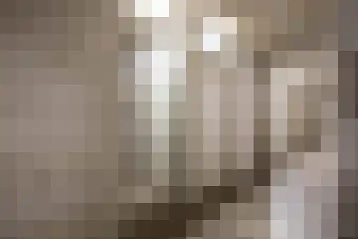 Jisperveldstraat 426 Amsterdam thumbnail 33
