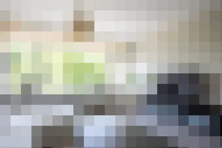 Jisperveldstraat 426 Amsterdam thumbnail 5