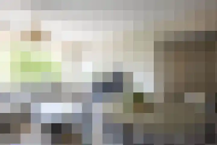 Jisperveldstraat 426 Amsterdam thumbnail 6
