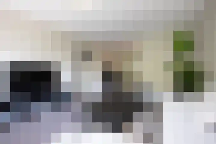 Jisperveldstraat 426 Amsterdam thumbnail 7