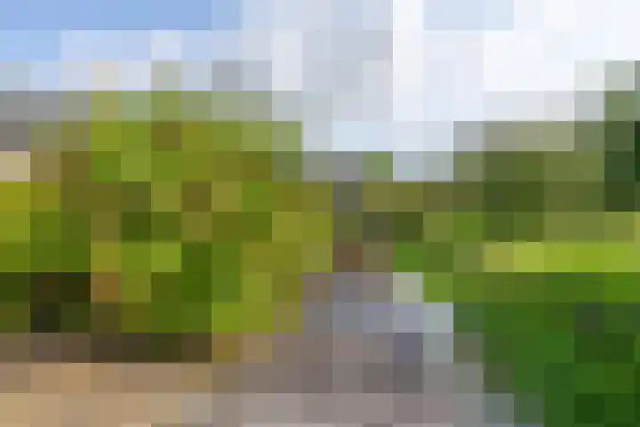 Jisperweg 86 Westbeemster thumbnail 33