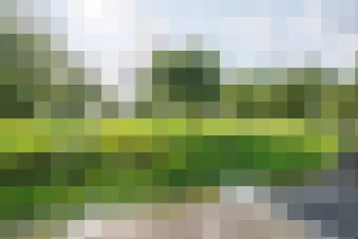 Jisperweg 86 Westbeemster thumbnail 34