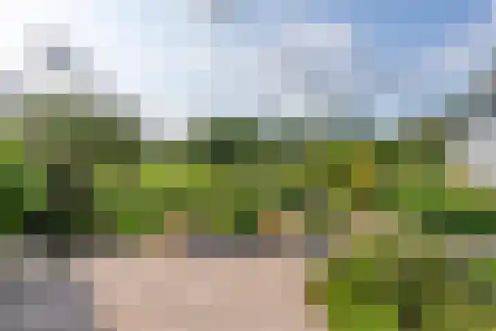Jisperweg 86 Westbeemster thumbnail 37