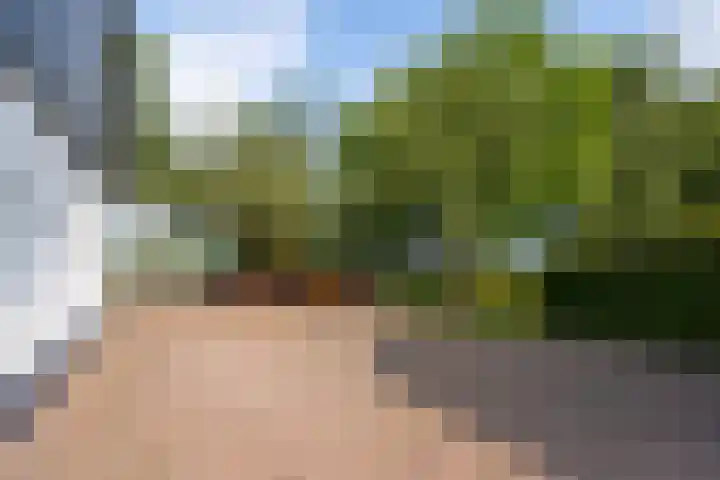 Jisperweg 86 Westbeemster thumbnail 38