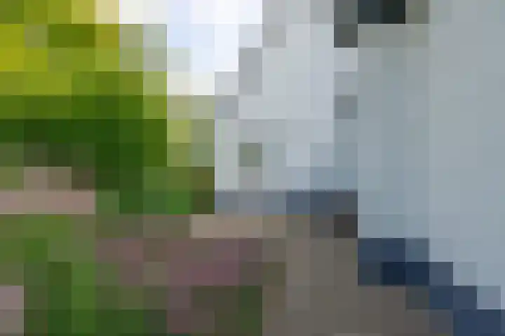 Jisperweg 86 Westbeemster thumbnail 41