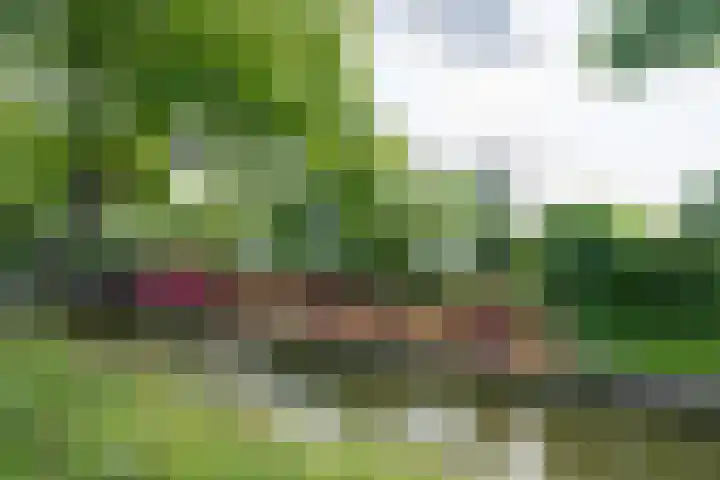 Jisperweg 86 Westbeemster thumbnail 42