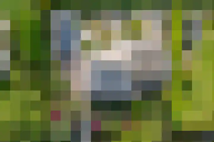 Jisperweg 86 Westbeemster thumbnail 43