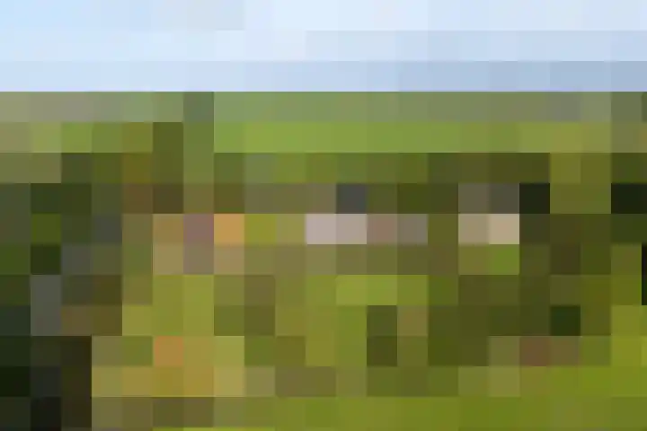 Jisperweg 86 Westbeemster thumbnail 6