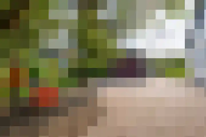 Jisperweg 86 Westbeemster thumbnail 69