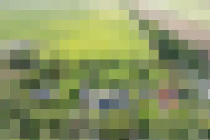 Jisperweg 86 Westbeemster thumbnail 76