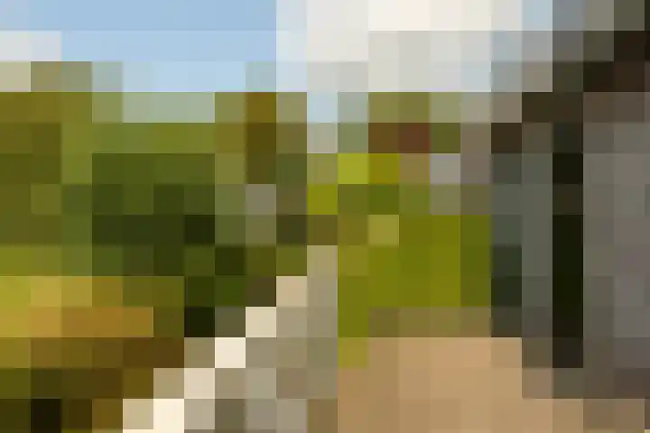 Jisperweg 92 c Westbeemster thumbnail 34