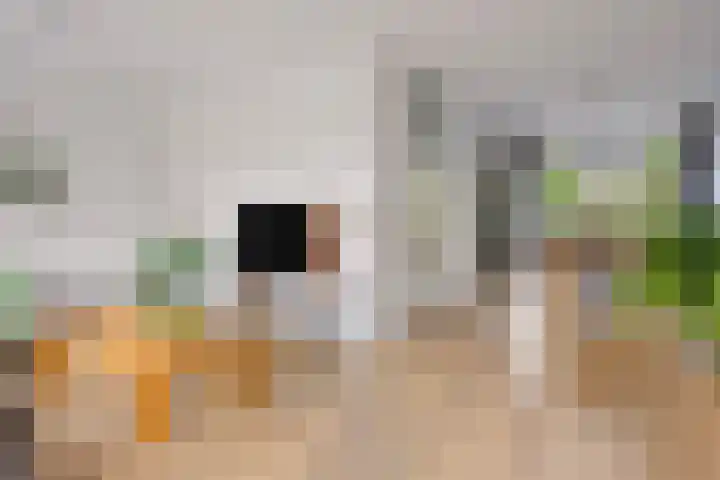 Joachimsdaalder 7 Dronten thumbnail 15