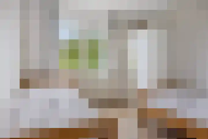 Joachimsdaalder 7 Dronten thumbnail 23