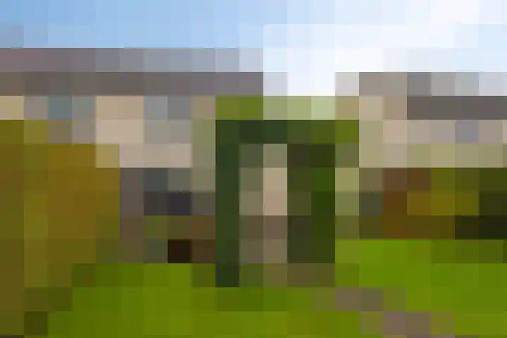 Joachimsdaalder 7 Dronten thumbnail 32