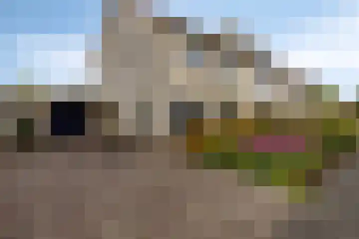 Joachimsdaalder 7 Dronten thumbnail 36