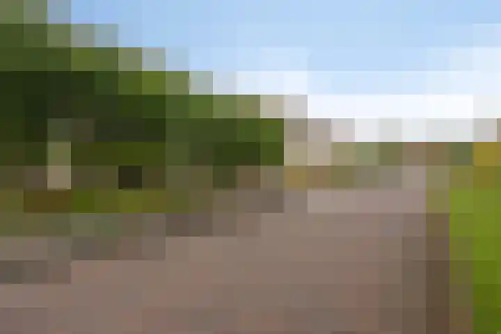 Joachimsdaalder 7 Dronten thumbnail 39