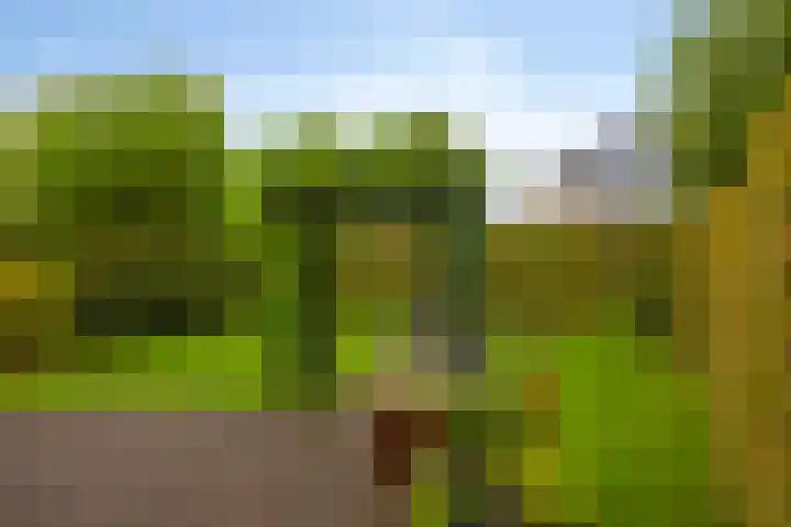 Joachimsdaalder 7 Dronten thumbnail 4