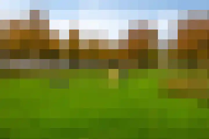 Joachimsdaalder 7 Dronten thumbnail 40