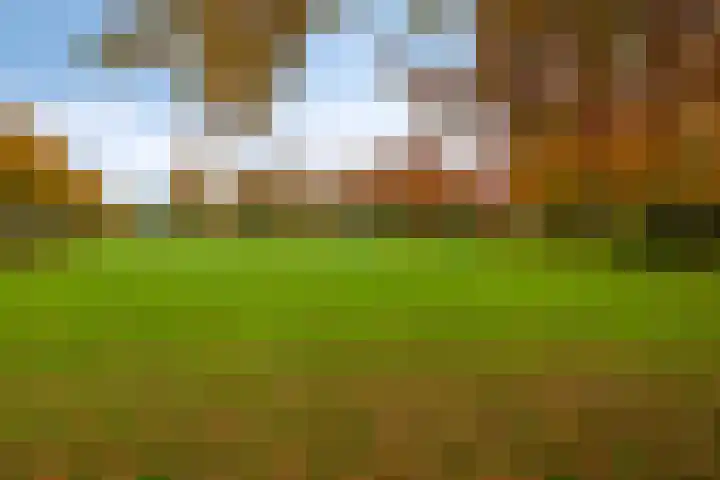 Joachimsdaalder 7 Dronten thumbnail 41