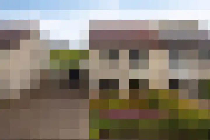 Joachimsdaalder 7 Dronten thumbnail 5