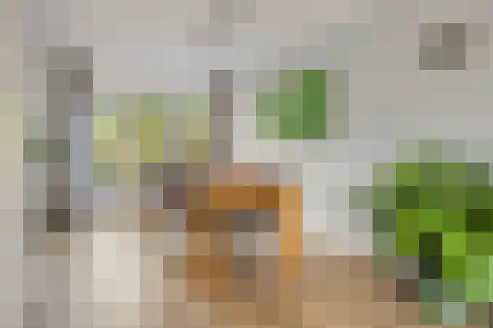 Joachimsdaalder 7 Dronten thumbnail 8