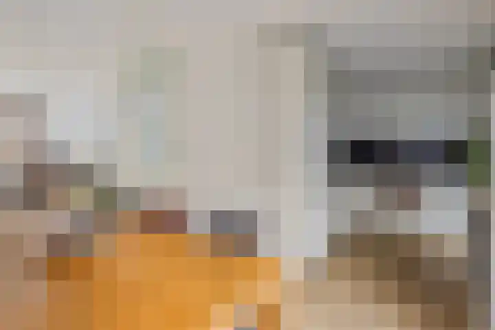 Joachimsdaalder 7 Dronten thumbnail 9