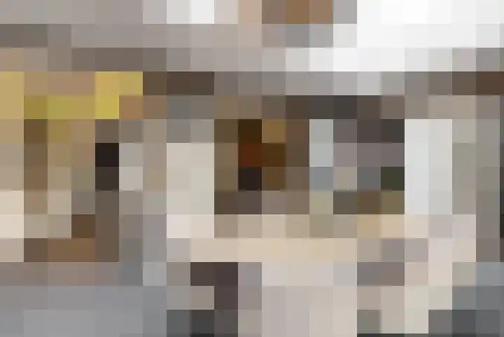 Joannes Riviusstraat 25 Elsloo thumbnail 13