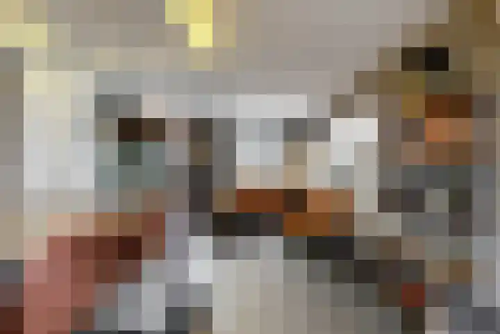 Joannes Riviusstraat 25 Elsloo thumbnail 8