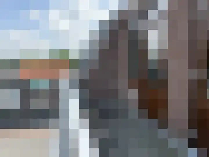 Jodendijk 10 Eefde thumbnail 29