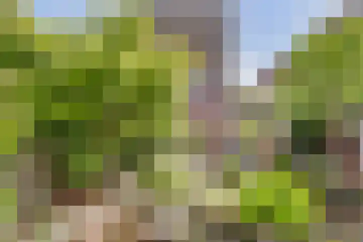 Jodendijk 10 Eefde foto 3