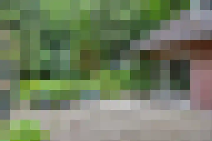 Jodendijk 10 Eefde thumbnail 33