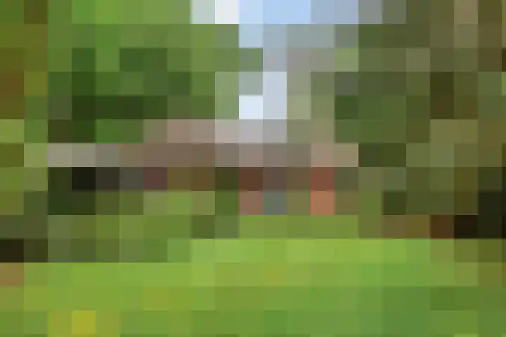 Jodendijk 10 Eefde thumbnail 36