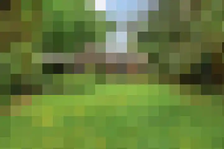 Jodendijk 10 Eefde thumbnail 37